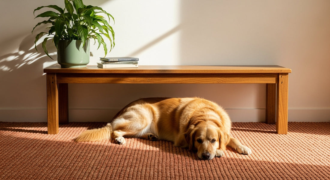 A golden retriever rests on a warm terracotta rug beneath a blank cream wall and a wooden console table in a cozy, sunlit reading nook.