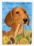 Hand-illustrated Dachshund Portrait Canvas Wall Art
