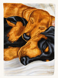 Hand-illustrated Dachshund Snuggles House Flag